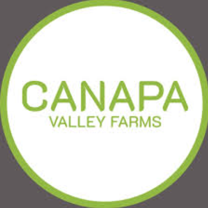 Photograph of product: Canapa Valley Farms - Purple Pineapple - 1g Infused Preroll