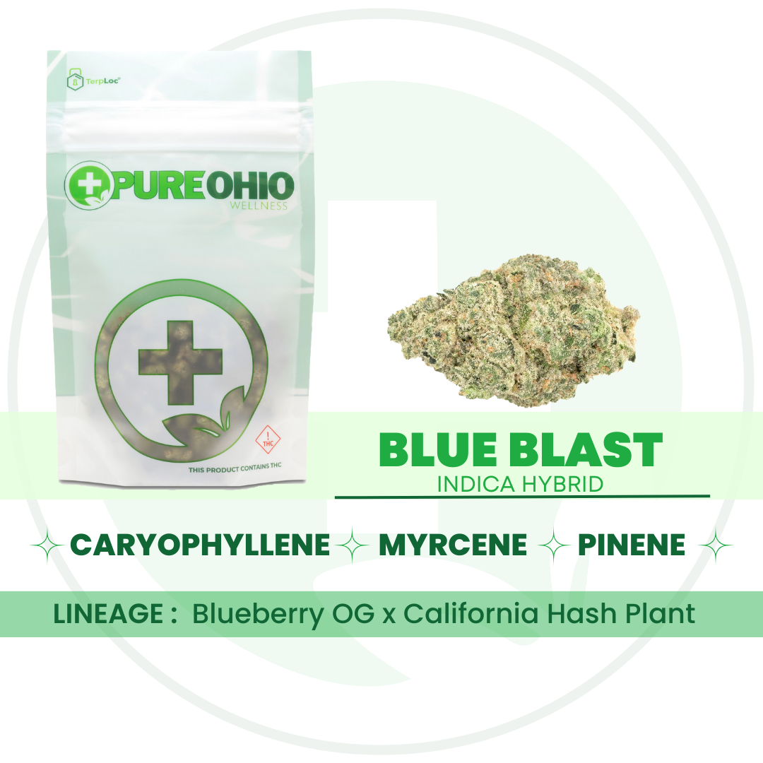 Photograph of Product: Blue Blast | 14.15g