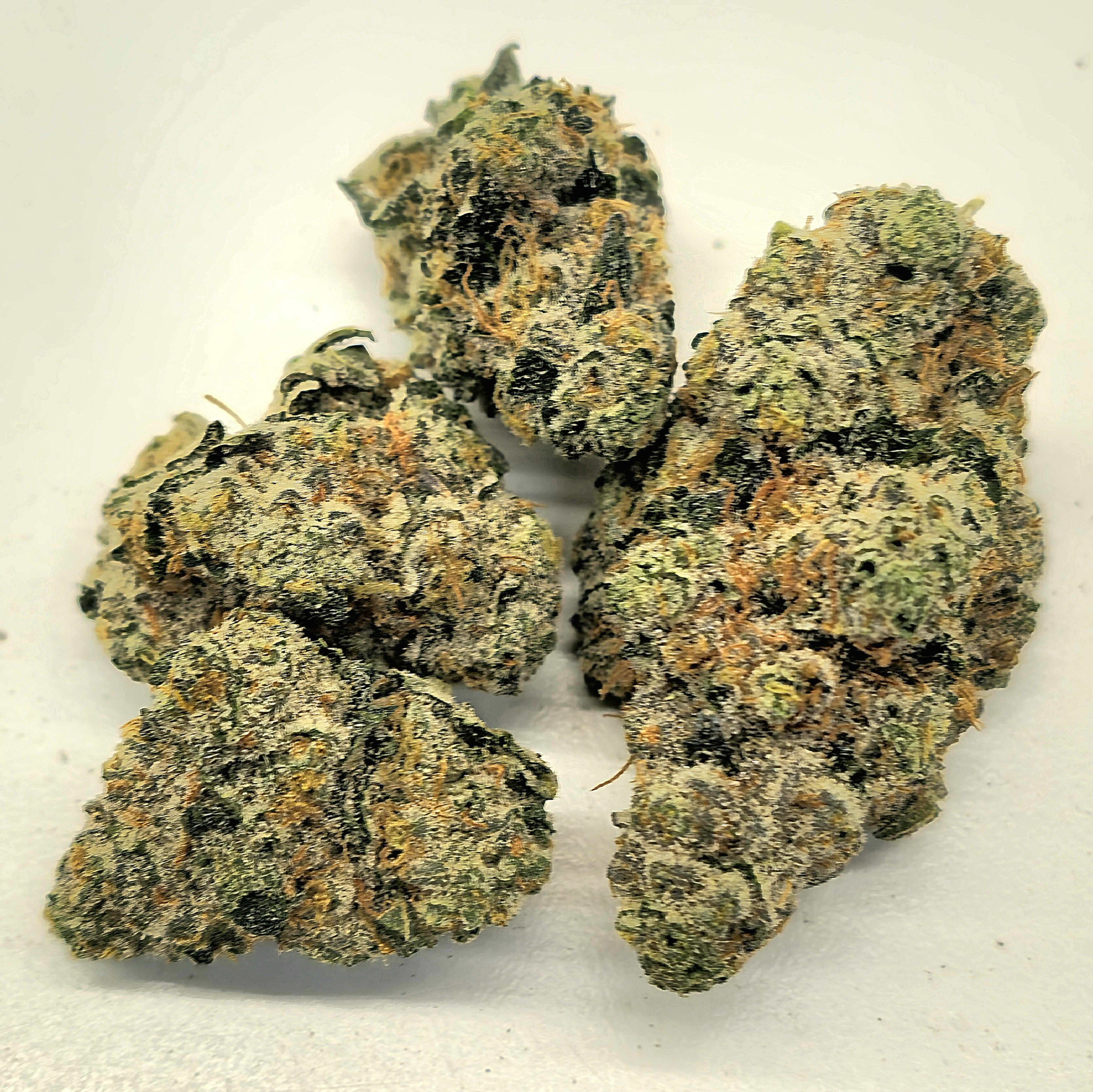 Photograph of product: Daft Republic | Mendo Mac 1613 - 1g