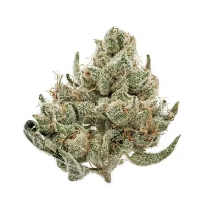 Photograph of Product: Umami Bomb - 1g