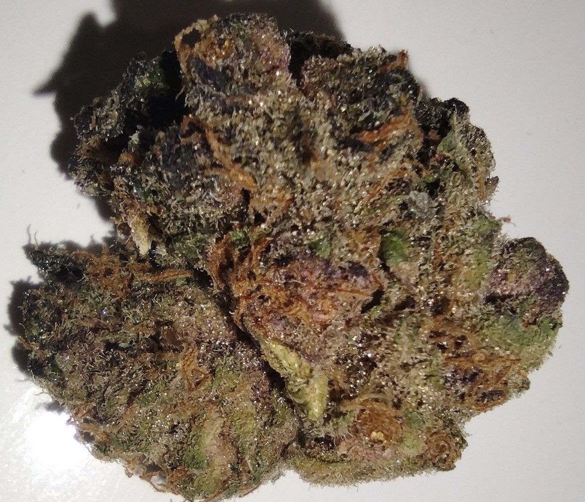 Photograph of product: 1889 Farms - Tropsanto - 7g - Flower