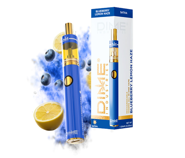 Photograph of product: Blueberry Lemon Haze Disposable | 2g