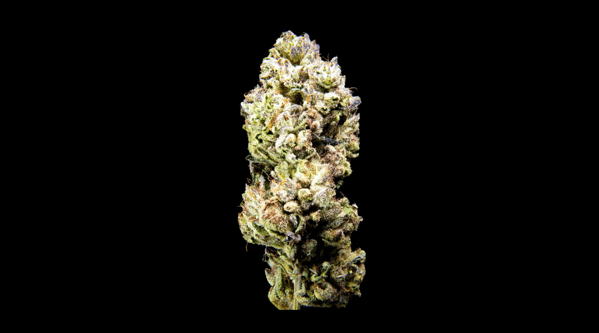 Photograph of product: Flowerhouse | Gary Payton | 3.5g
