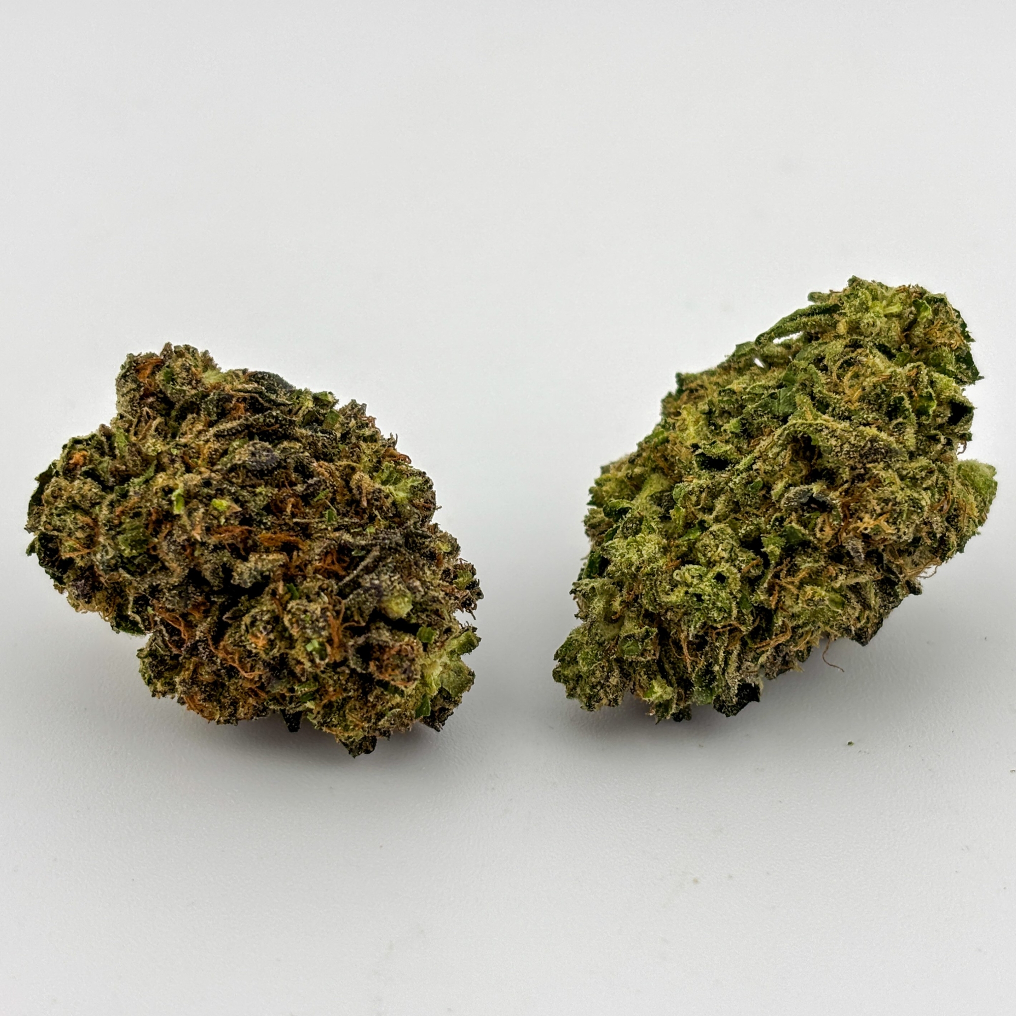 Photograph of product: Alta Gardens | Flower [I] | GMO x Sherbcrasher