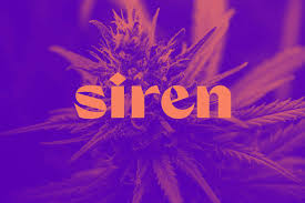 Photograph of product: Jet Fuel Pie | Hybrid (I) | Siren - 28g