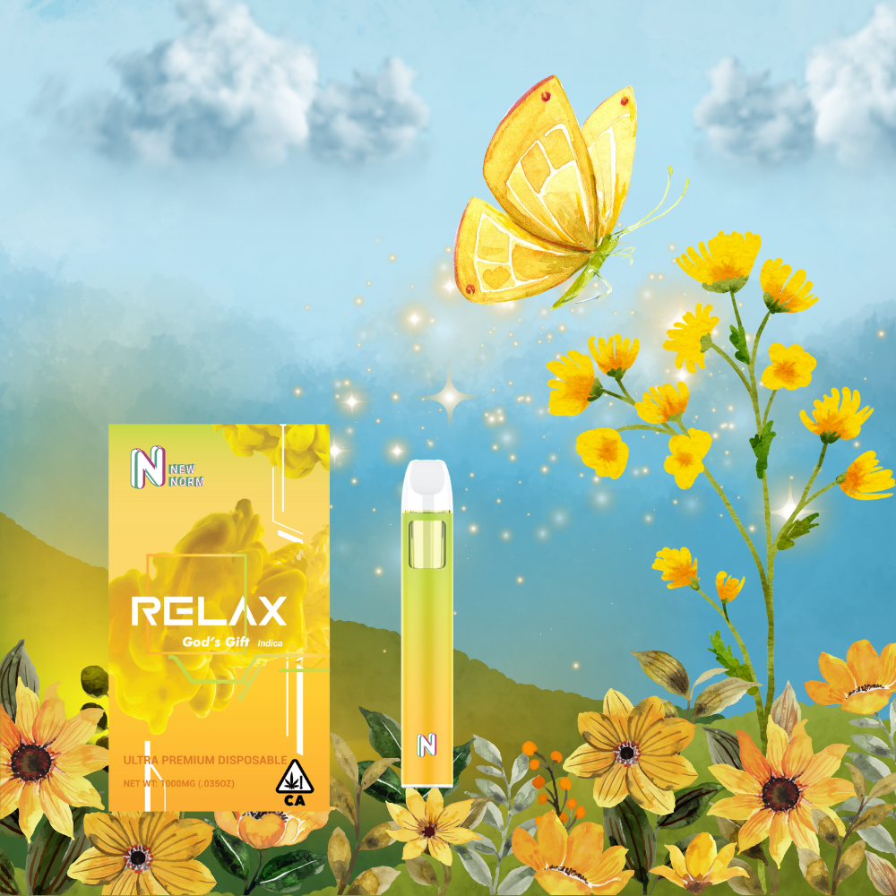 Photograph of Product: New Norm Effect All-in-one - Relax (God's Gift)