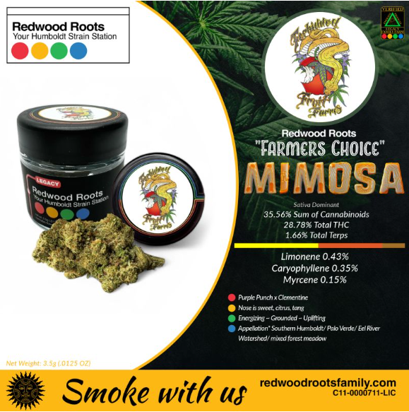 Photograph of product: TANGI MIMOSA 3.5G