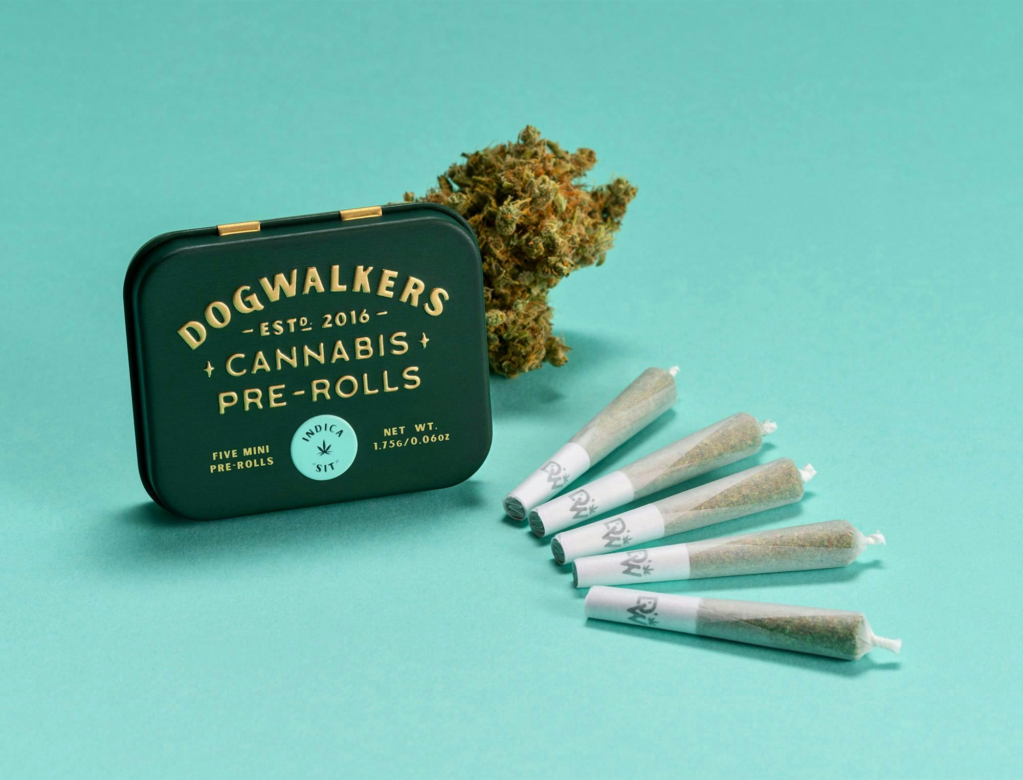 Photograph of product: Dogwalkers - Prerolls - Slapz - 5pk
