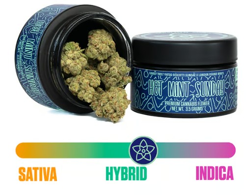 Photograph of product: The Flower Collective - Hot Mint Sunday (H) - 3.5g Prepack