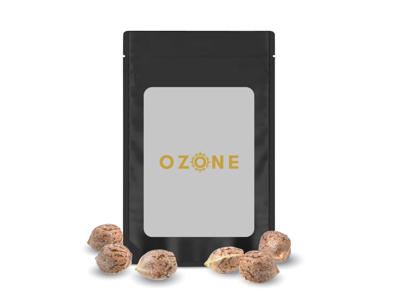 Photograph of product: CB Dawg (H ) Feminizdd Seeds 5/6pk- Ozone