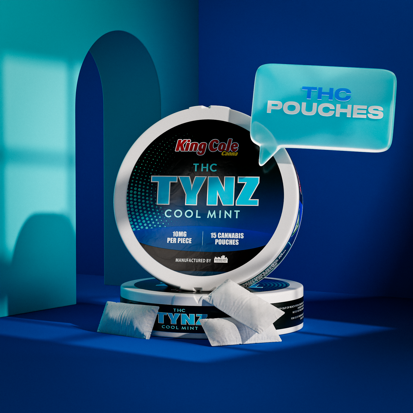Photograph of product: Cool Mint TYNZ Pouches