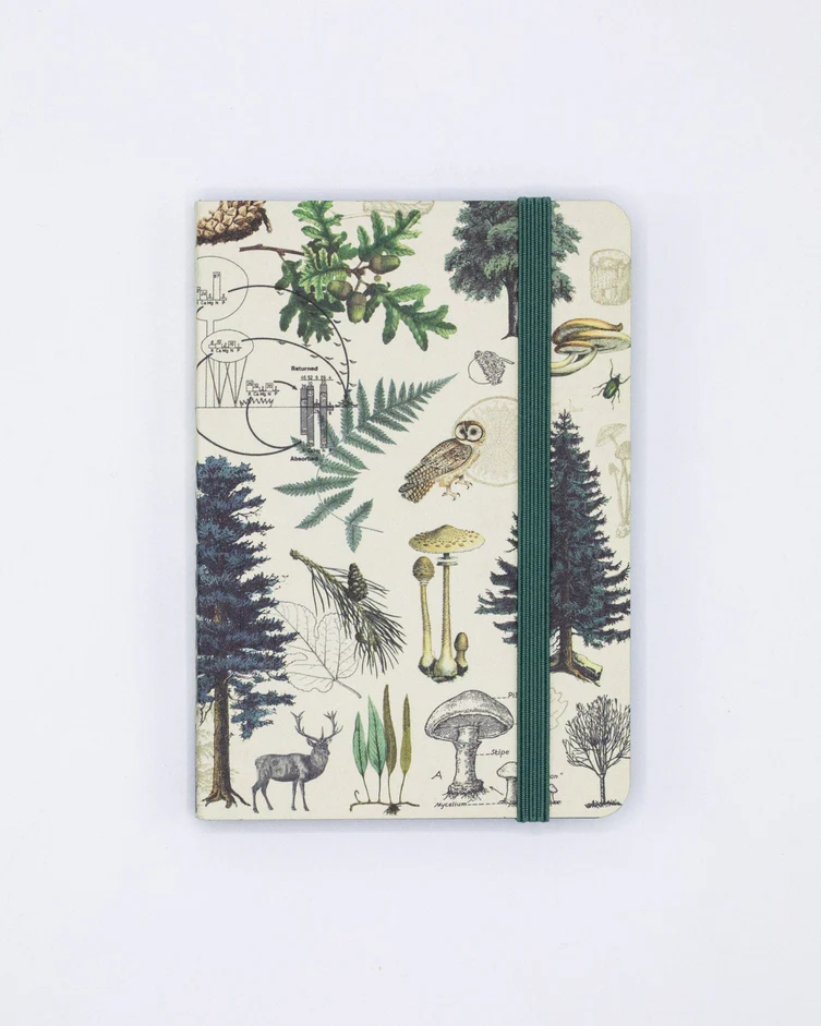 Photograph of product: Observation Softcover I Into The Forest