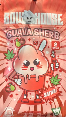 Photograph of product: Guava Sherb Disposable Vape by Bow House