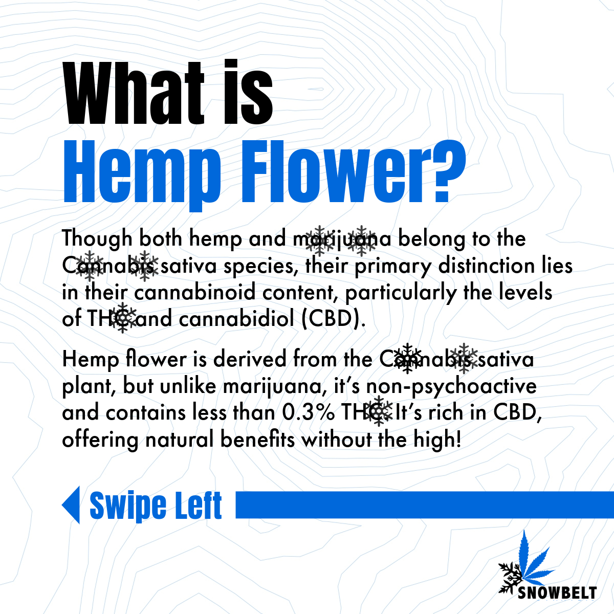 Photograph of product: Snowbelt - Flower - CBD Stone Cold