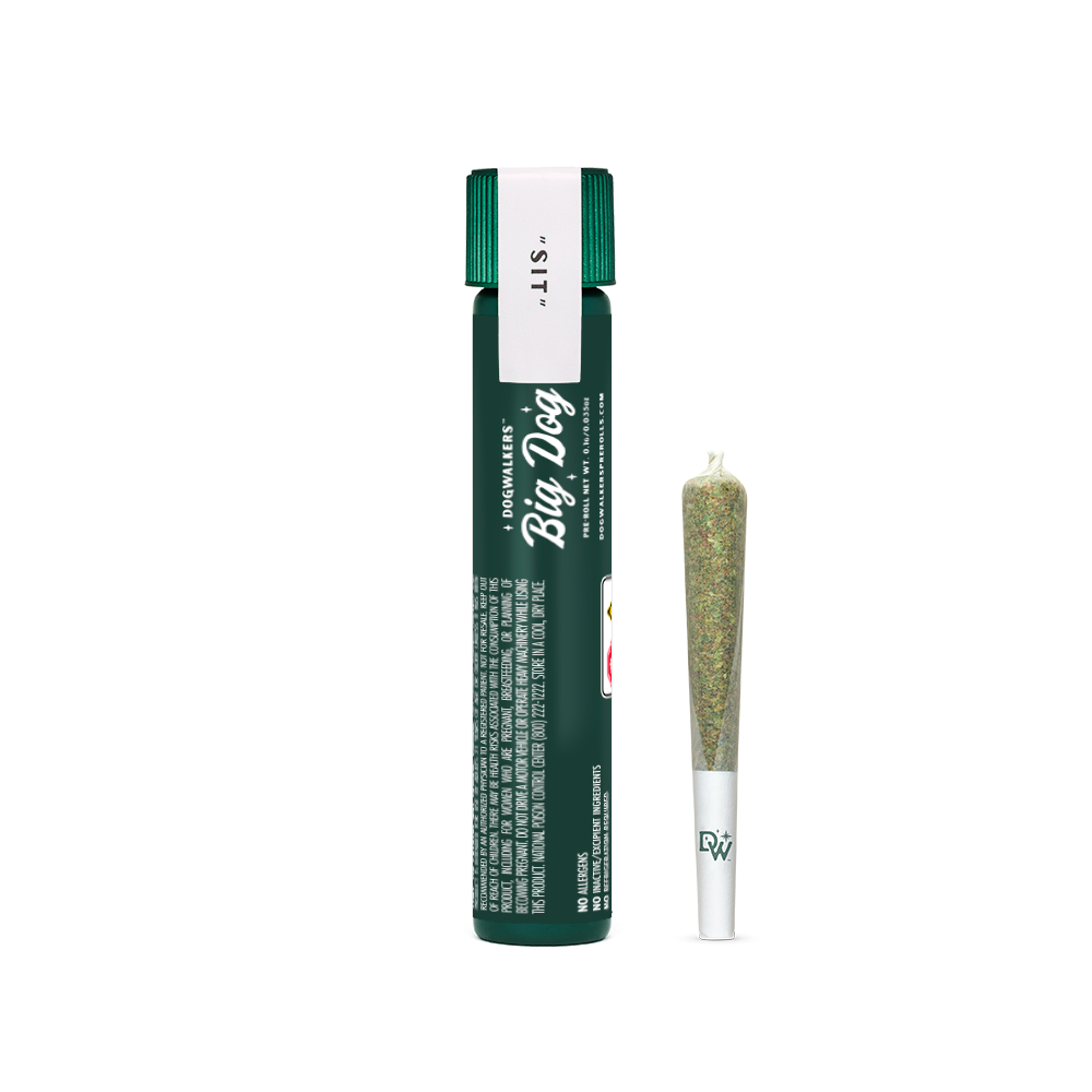 Photograph of product: Cheddar Cheeze (Sit), Single