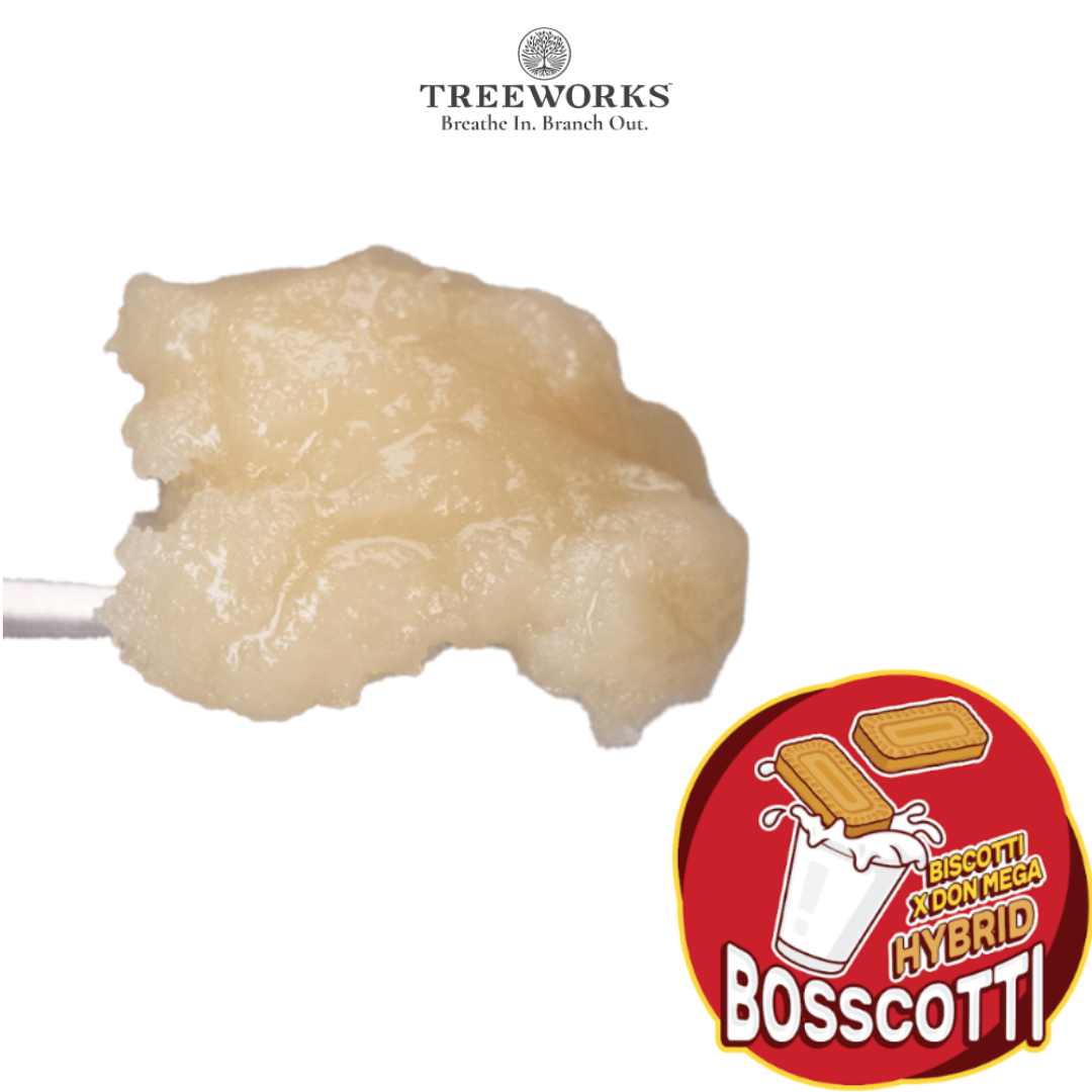 Photograph of product: Bosscotti | Live au chocolat Rosin
