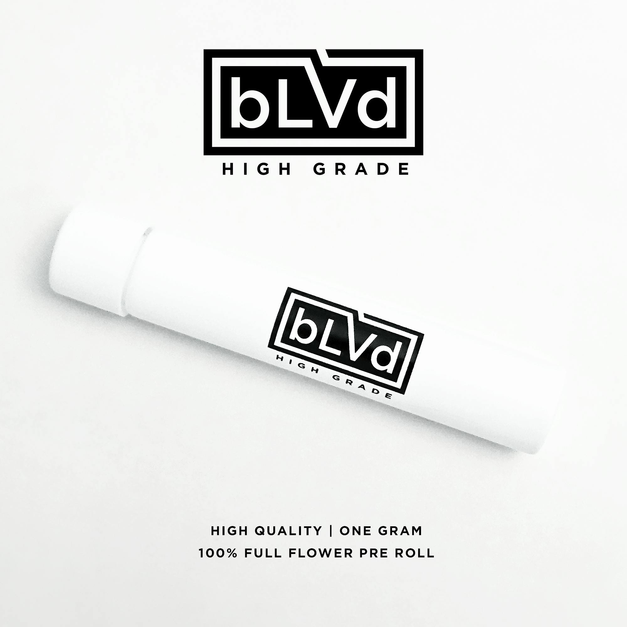 Photograph of product: BLVD | 702 Headband PR