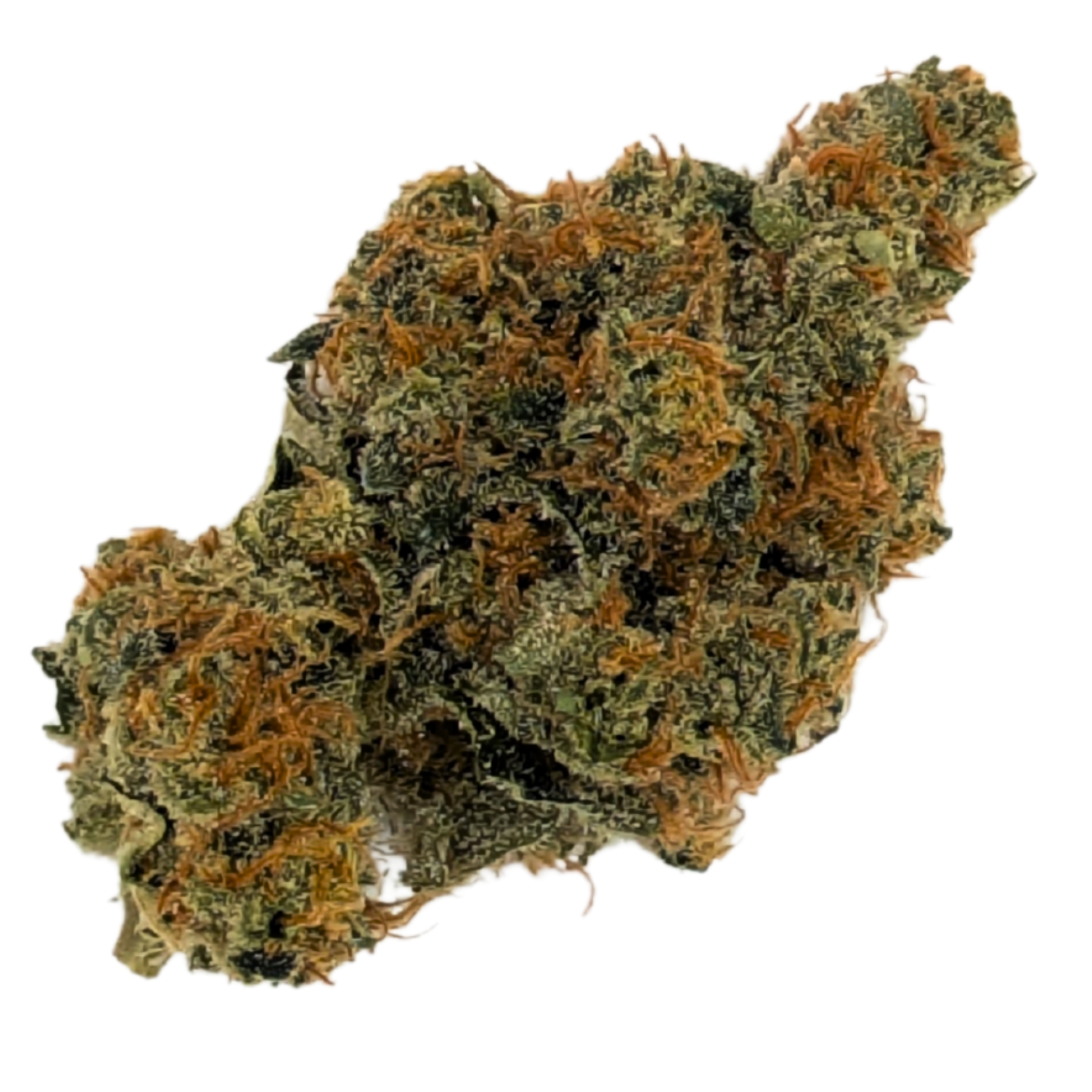Photograph of Product: Bruce Banner | 1/8 Indoor Flower | - 3.5g