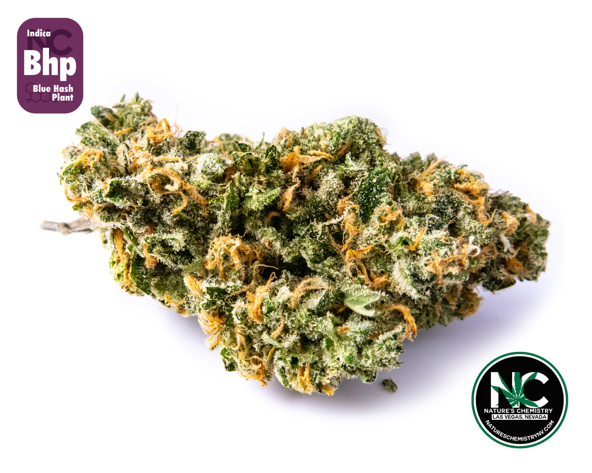 Photograph of product: Natures Chemistry | Blue au chocolat Plant - 3.5g