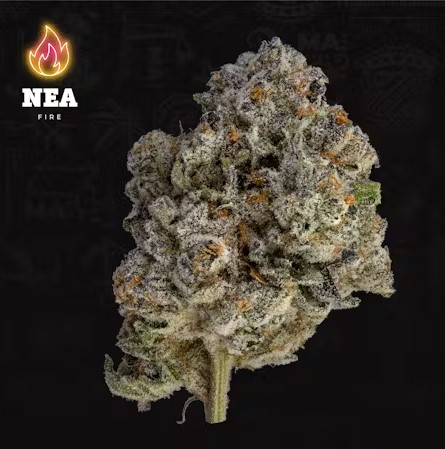 Photograph of product: Flower | DosiDos - 3.5g