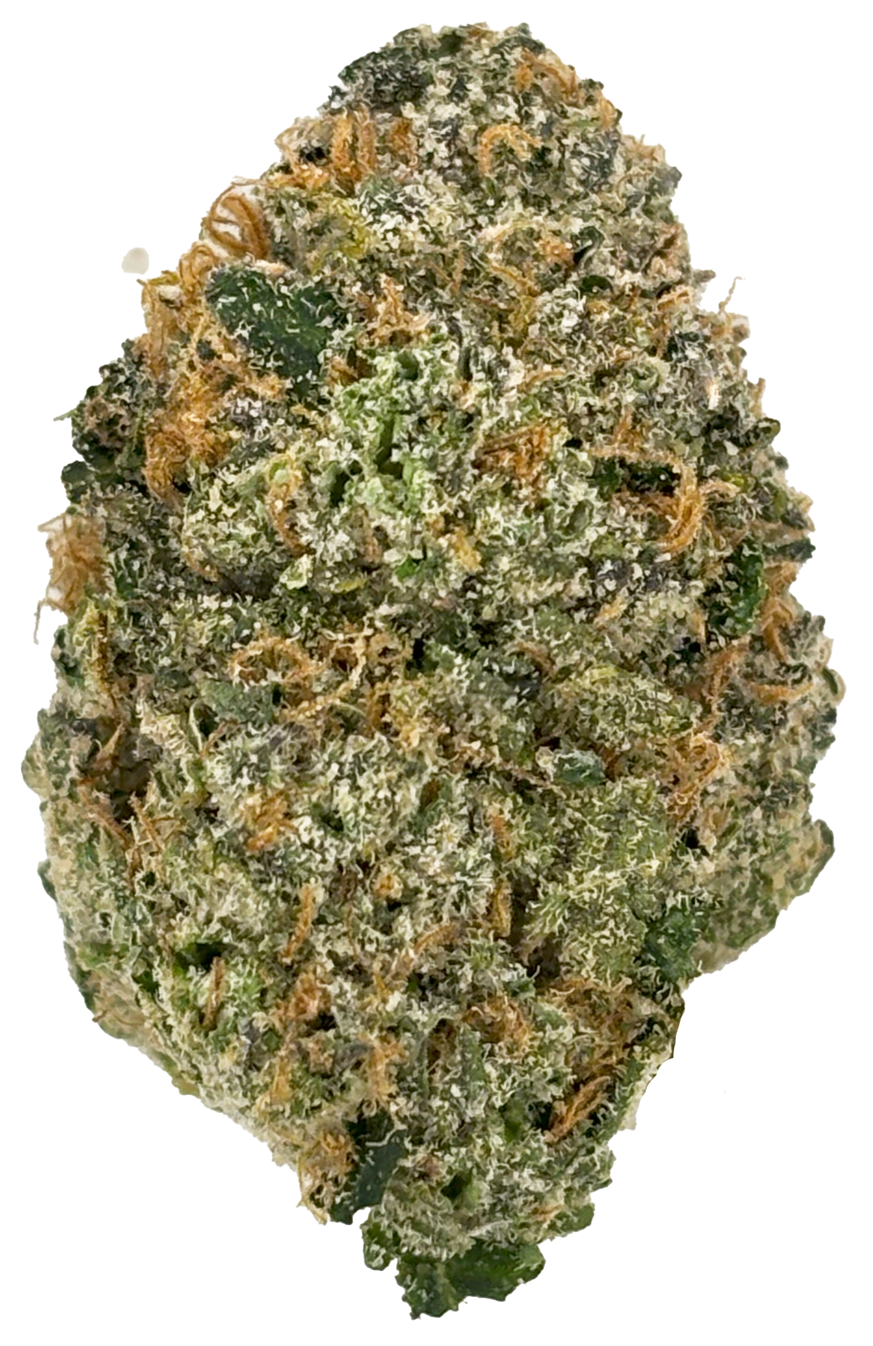 Photograph of product: Society C | Pink Runtz | Pre-Packaged Flower - 28g