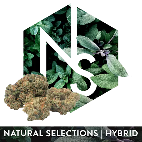 Photograph of product: Ethos Natural Selections - Flower 3.5g - Strawberry Chocolate
