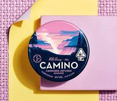Photograph of product: Camino Wild Berry Gummies 100mg 20pk