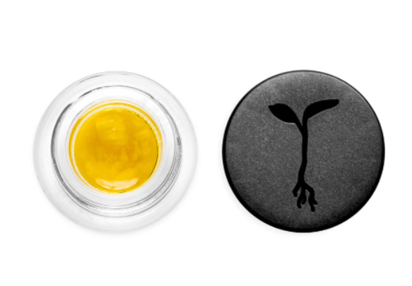 Photograph of Product: ORANGE RUNTZ LIVE SAUCE 1G
