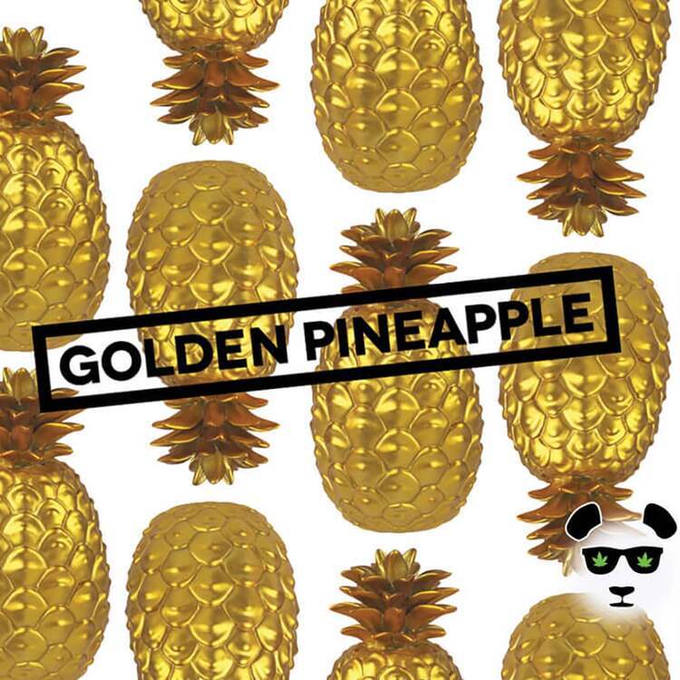 Photograph of product: Phat Panda: Golden Pineapple - PR