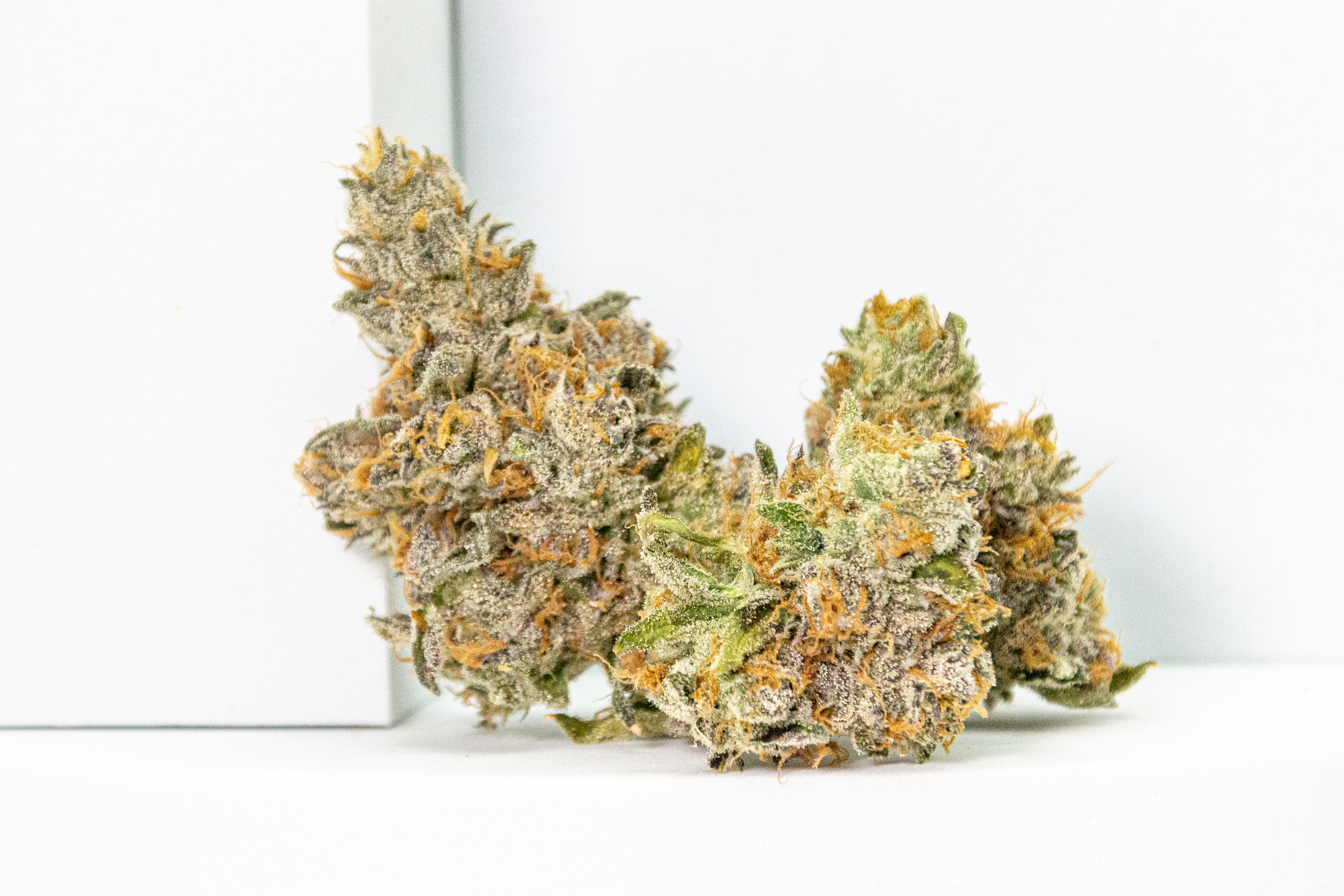 Photograph of product: Funky Guava 3.5g - Evermore (Pre-Pack)