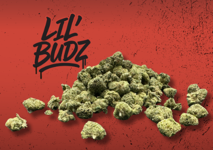 Photograph of product: C-Stata Lil' Budz 7g (H) 00272
