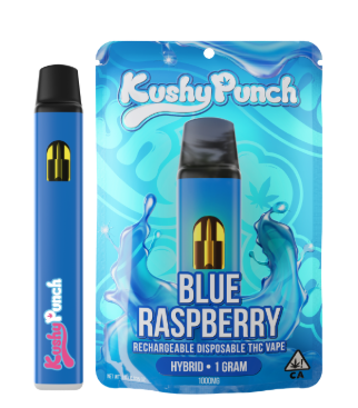 Photograph of product: Blue Raspberry | Disposable | 1g