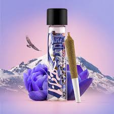 Photograph of product: Jetpacks | FJ-1 Afghani | 1G Infused Pre-Roll