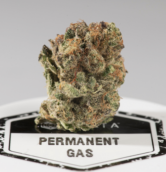 Photograph of product: Permanent Gas [Small Buds]-7g || Culta