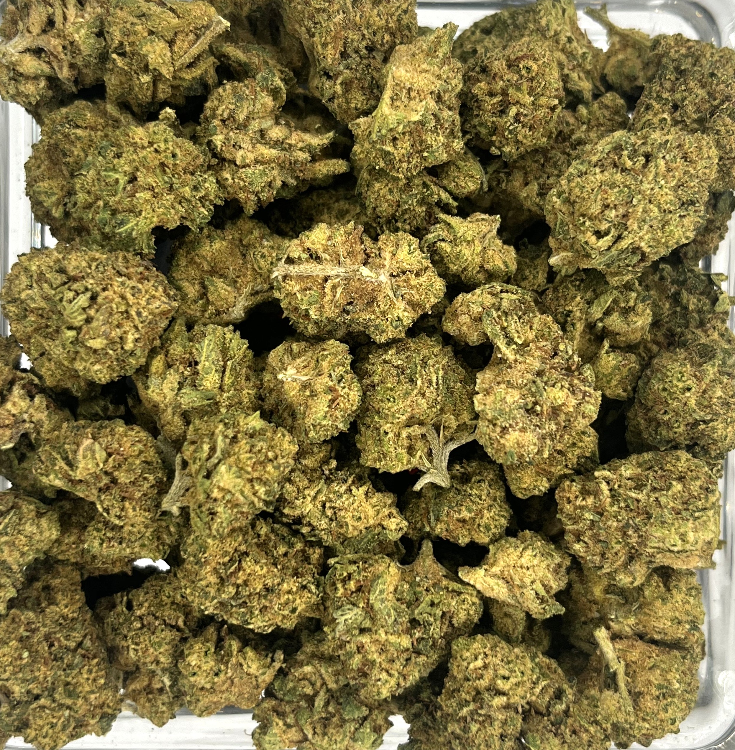 Photograph of product: Flower - Wedding Cake (Goodlyfe) - 28g