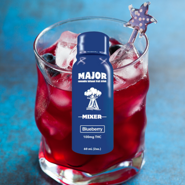 Photograph of product: MIXER | BLUEBERRY