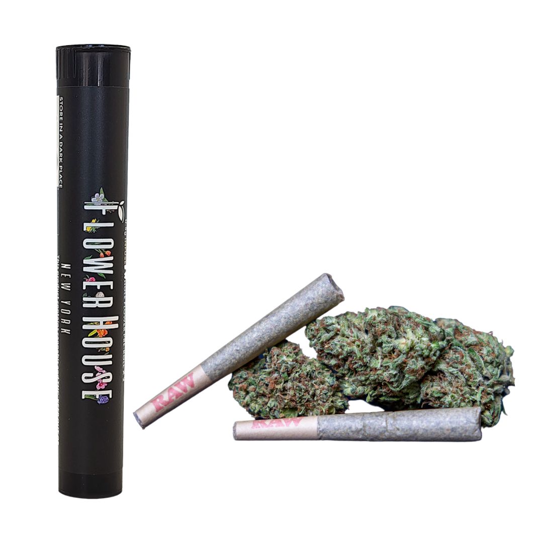 Photograph of product: Purple Punch 2pk Infused Prerolls