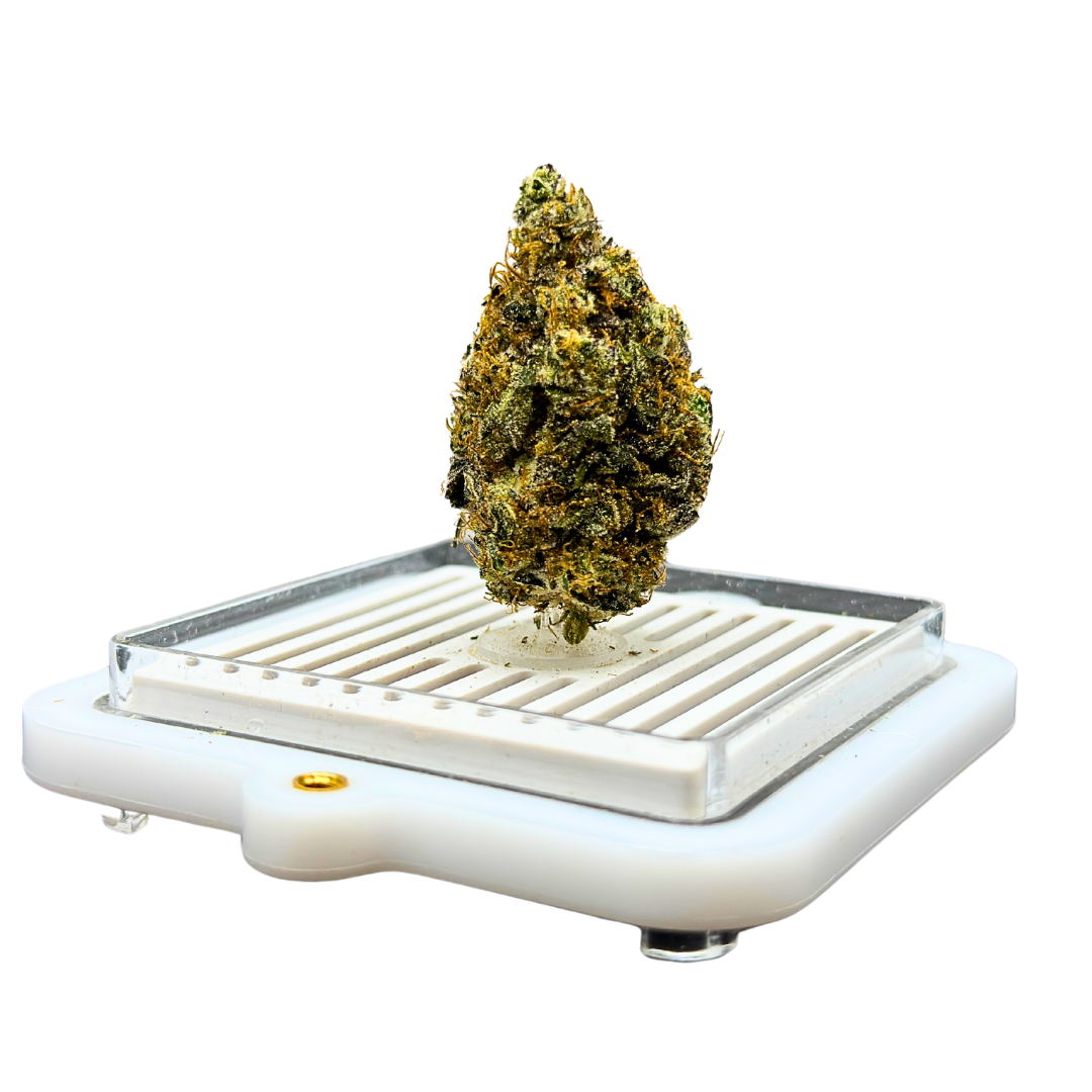Photograph of Product: Death Coast | Flower Bar - 3.5g