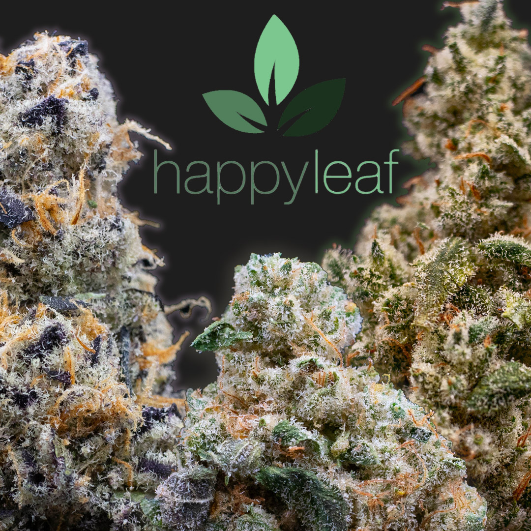 Photograph of product: Juicy Papers 1 1/4