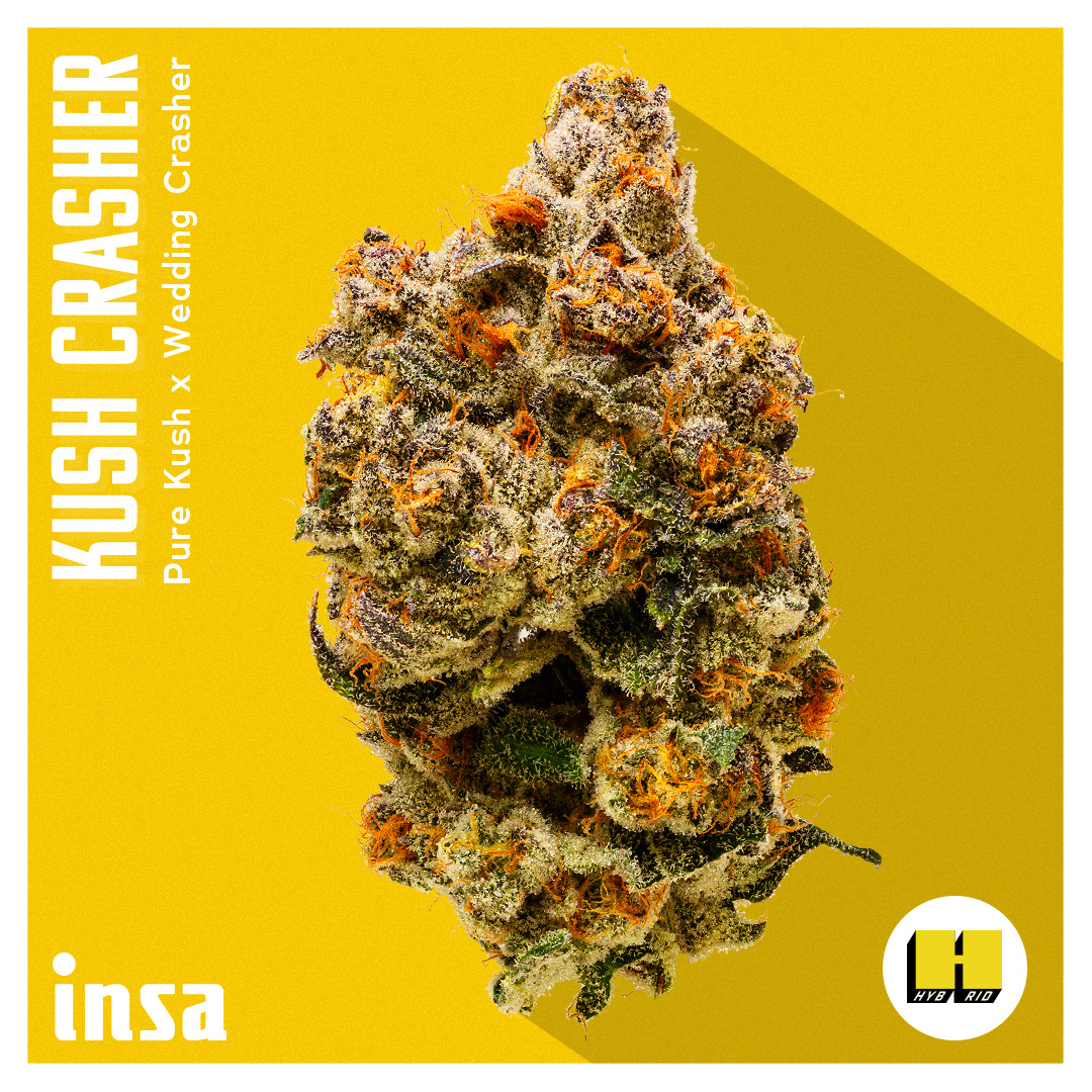 Photograph of product: Flower - Kush Crasher - 3.5g