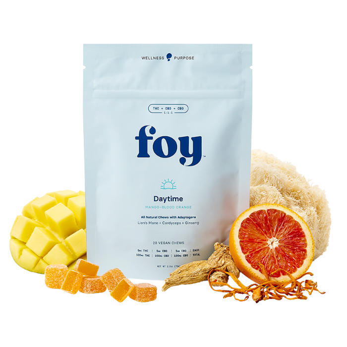 Photograph of product: Foy | Daytime | Gummies | 20pk | 100mg