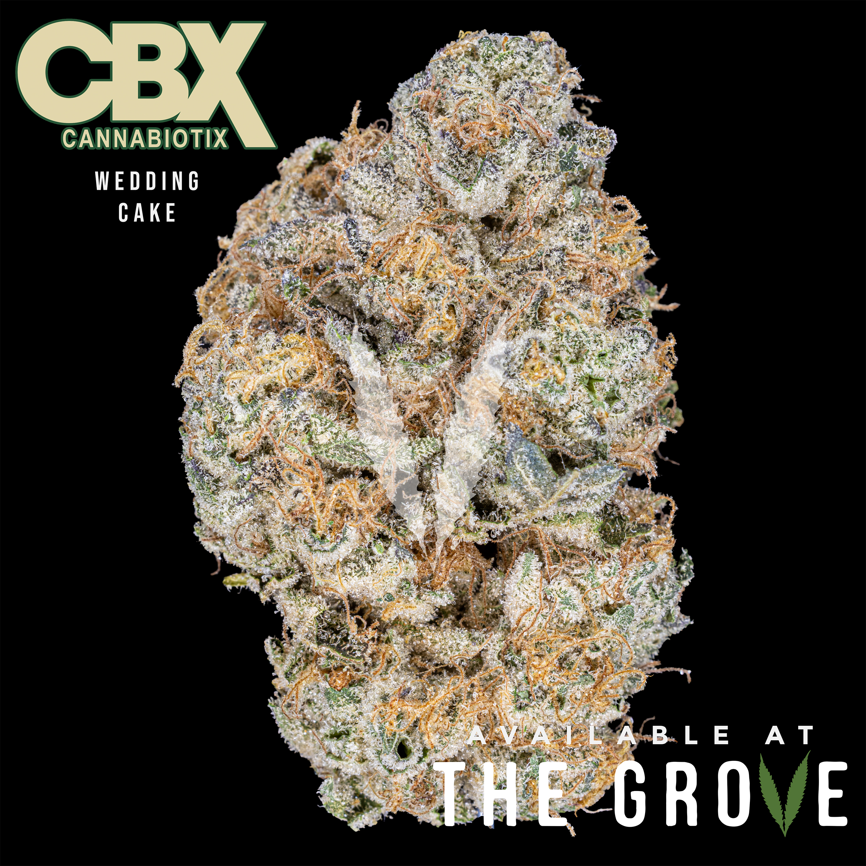 Photograph of product: CBX | Wedding Cake 1/8th - 3.5g