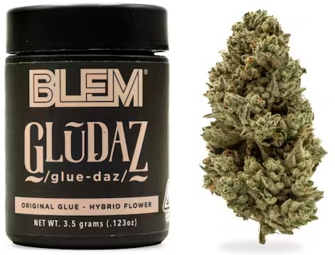 Photograph of product: GludaZ [H] - Flower - 3.5g