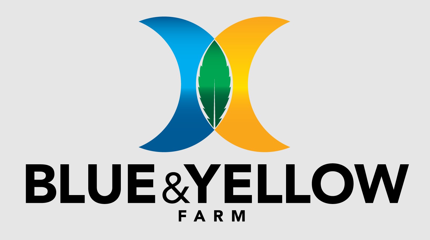 Photograph of product: Goofiez - Blue & Yellow Farms - Green - 3.5g