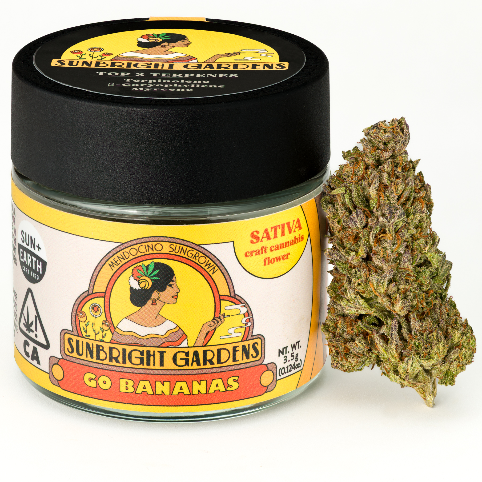 Photograph of product: GO BANANAS