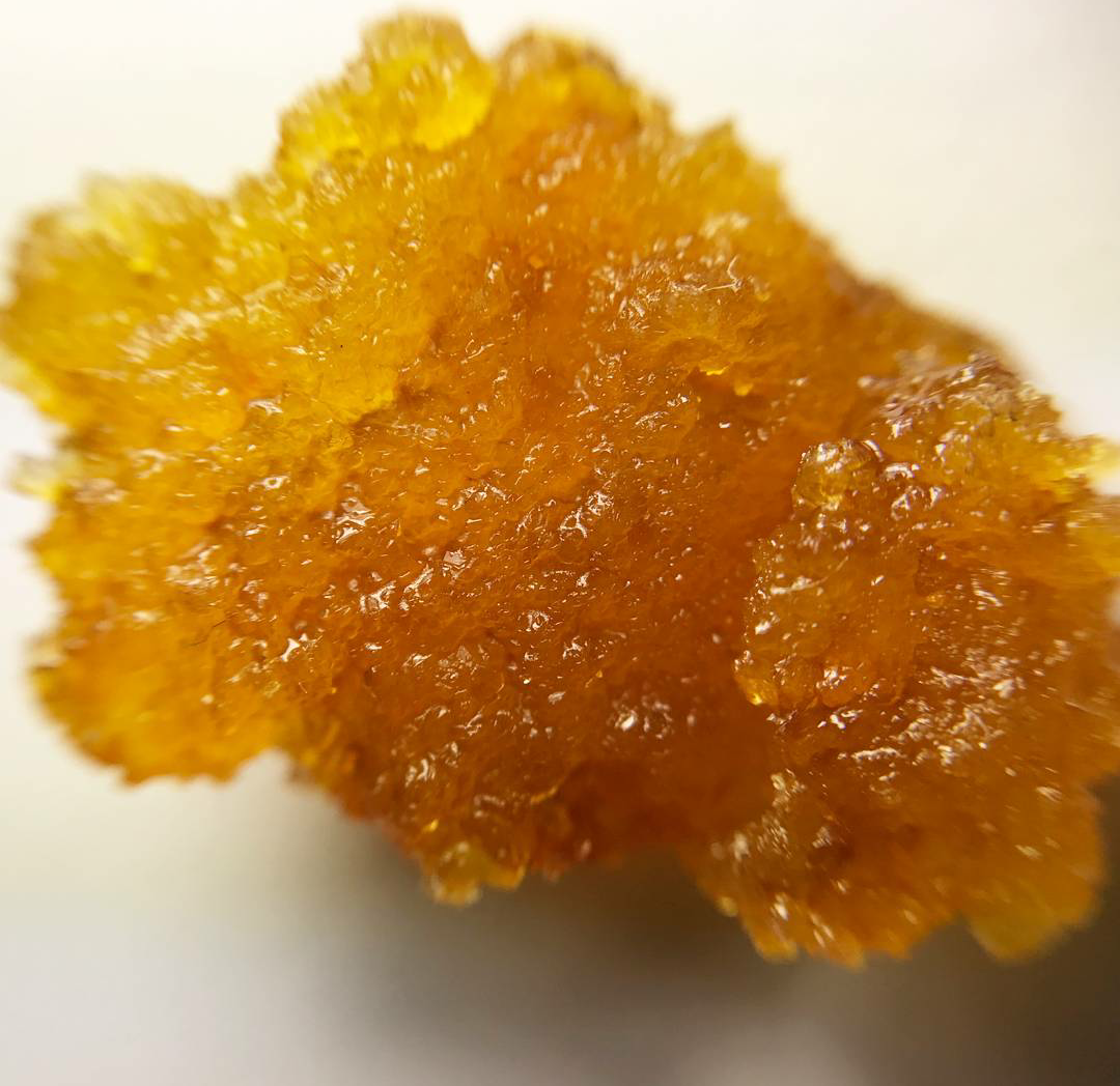 Photograph of product: MED - Denver Dab Sugar Wax Bucket - Gold Champa (4g)