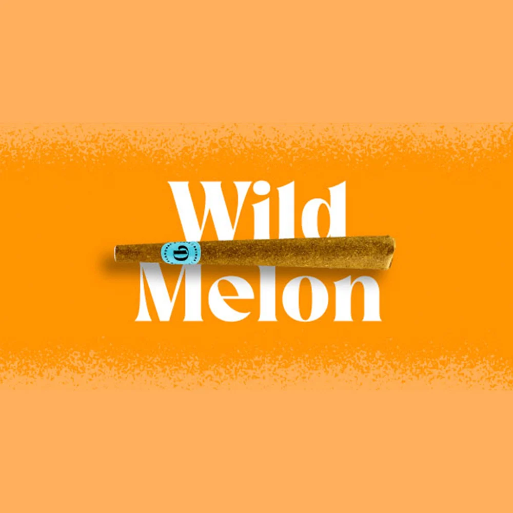 Photograph of product: Infused Blunt - Wild Melon