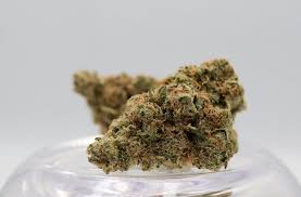 Photograph of product: Leafology Big Red Bargain Buds 3.5g Oui'd Hybrid Flower