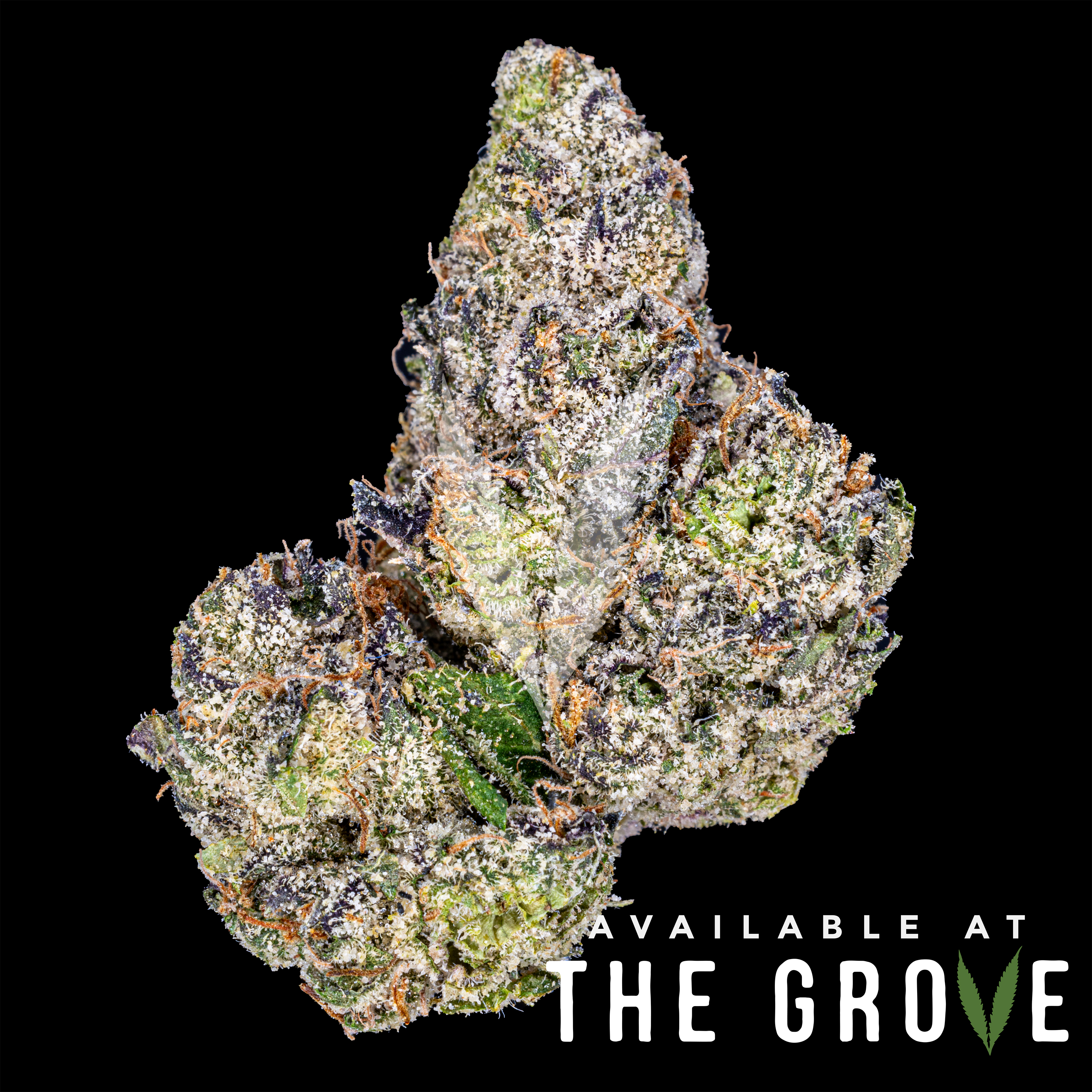 Photograph of product: Traditional | Cotton Censored 1/8ths - 3.5g