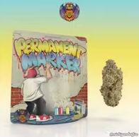 Photograph of product: Michigander Fire - Permanent Marker - 3.5g